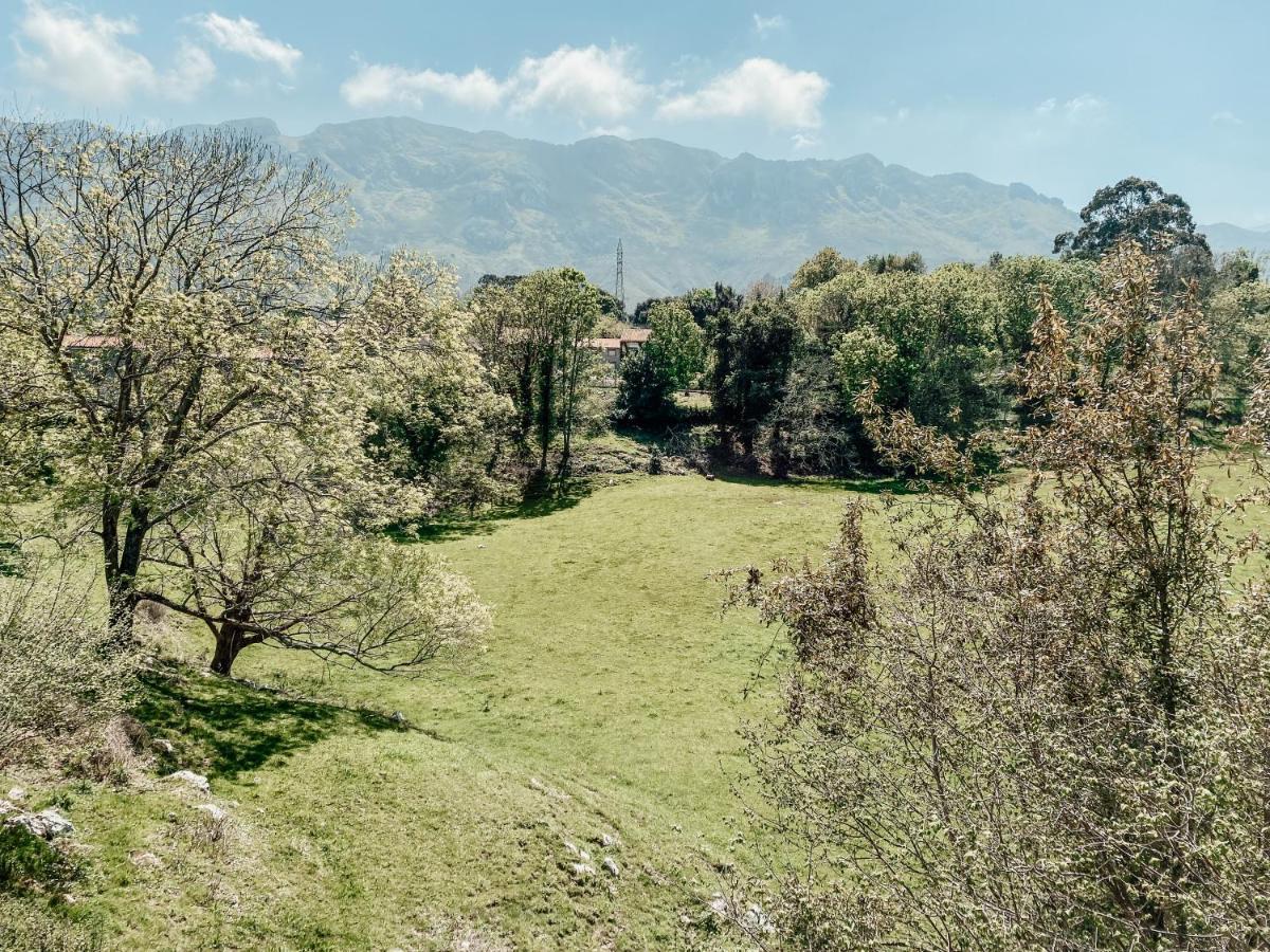 Bella Kalma, Acogedora Casa Con Parking, Jardin Y Wifi Guest House Llanes Exterior foto